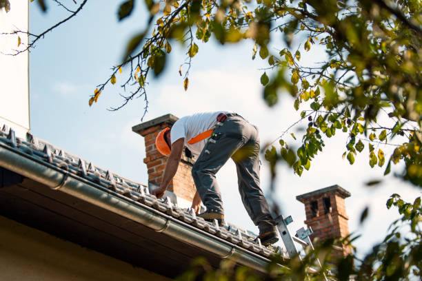 Sealant for Roof in Monett, MO