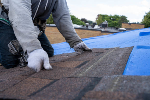 Best Roof Restoration Services  in Nett, MO