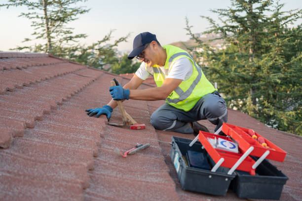 Best New Roof Installation  in Nett, MO